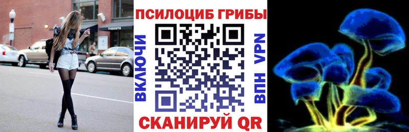 Псилоцибиновые грибы Psilocybe  Купить где  Холмск 